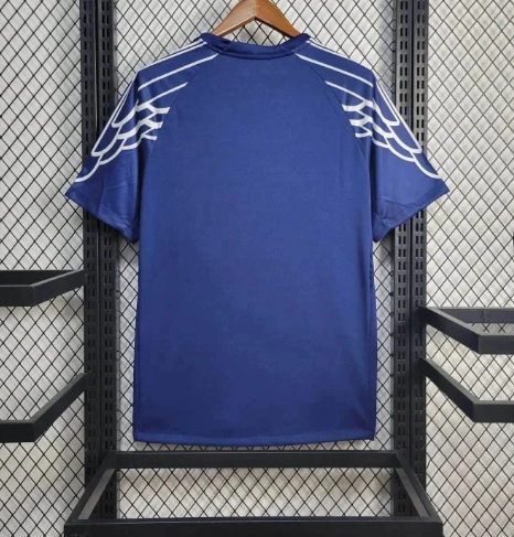 PSG 24/25 Fourth kit