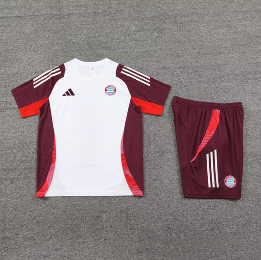 Bayern 24/25 Dark Purple & White Short Set